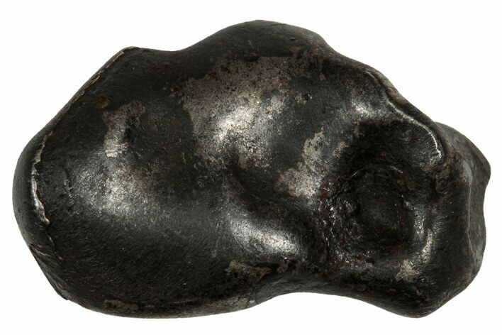 Fusion Crusted Sikhote-Alin Iron Meteorite ( g) - Russia #334575